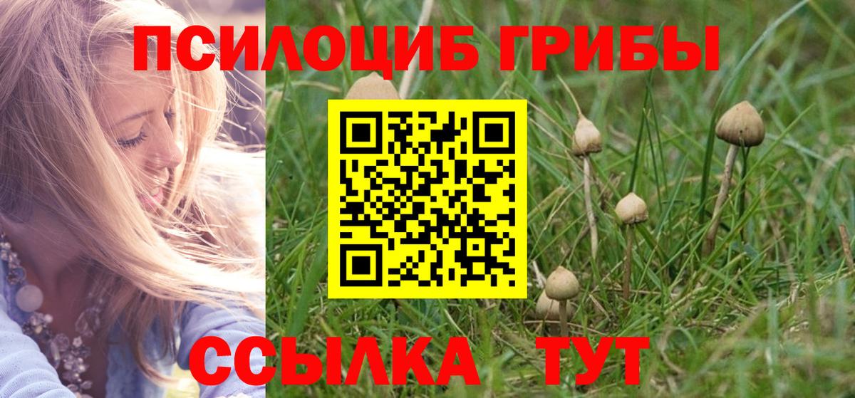 Избербаш  Галлюциногенные грибы Cubensis  Галлюциногенные грибы мухоморы  Вход с VPN 